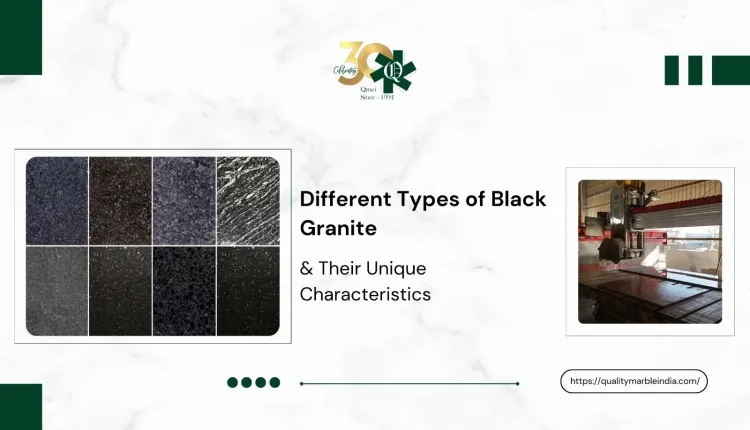 Different Types of Black Granite in 2026 and Their Unique Characteristics